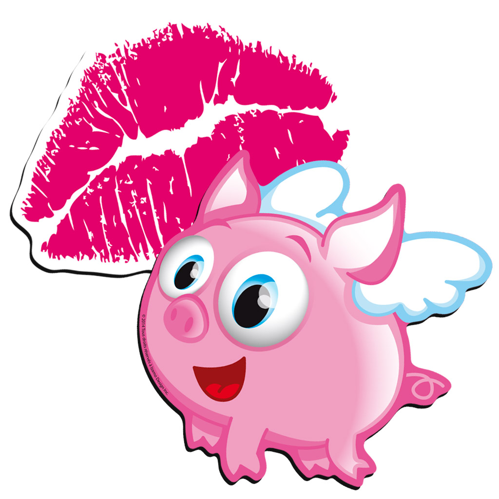 Sachet d'aimants – Image 6