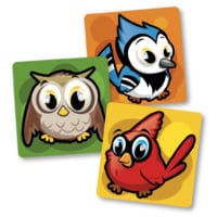 Autocollants d’identification pour le plancher – Oiseaux